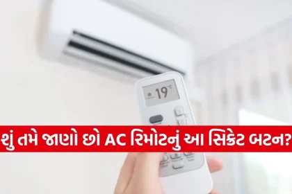 1777217742 Copy of Satya web temp 15.jpg.webp
