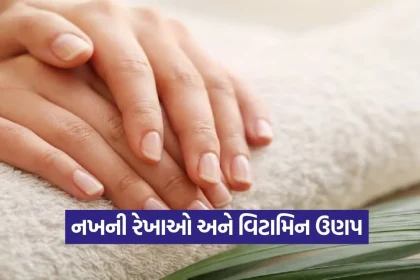 1777246185 dharmishtha 1 10.jpg.webp