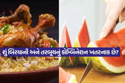 1777361628 dharmishtha 1 7.jpg.webp