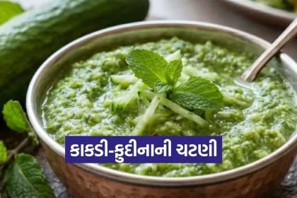 1777477001 Dharmishtha 19.jpg.webp
