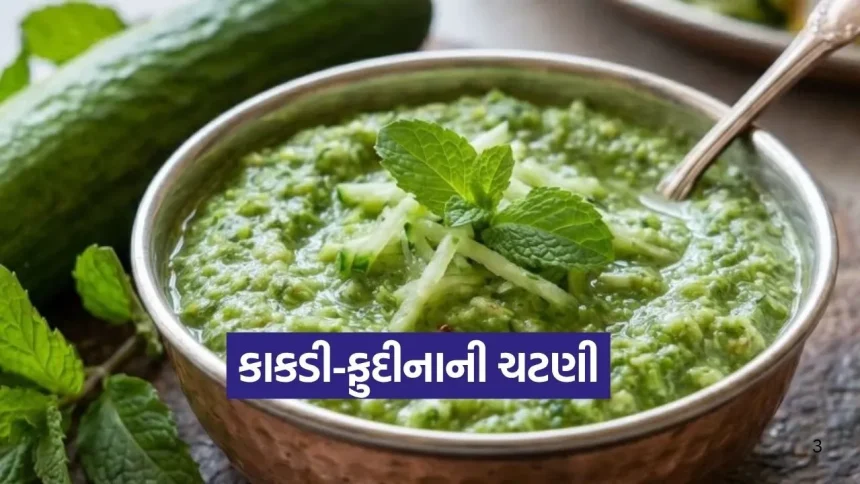 આ રીતે બનાવો કાકડી-ફુદીનાની ટેસ્ટી ચટણી, પેટ રાખશે ઠંડુ 1 1777477001 Dharmishtha 19.jpg.webp