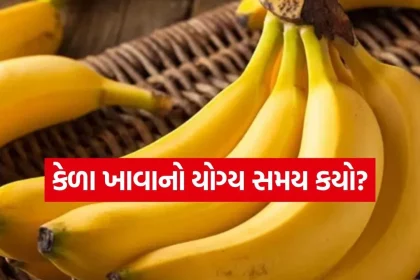 Banana 2504.jpg.webp