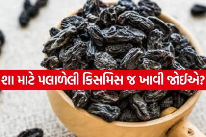 Black Raisins 2504.jpg.webp