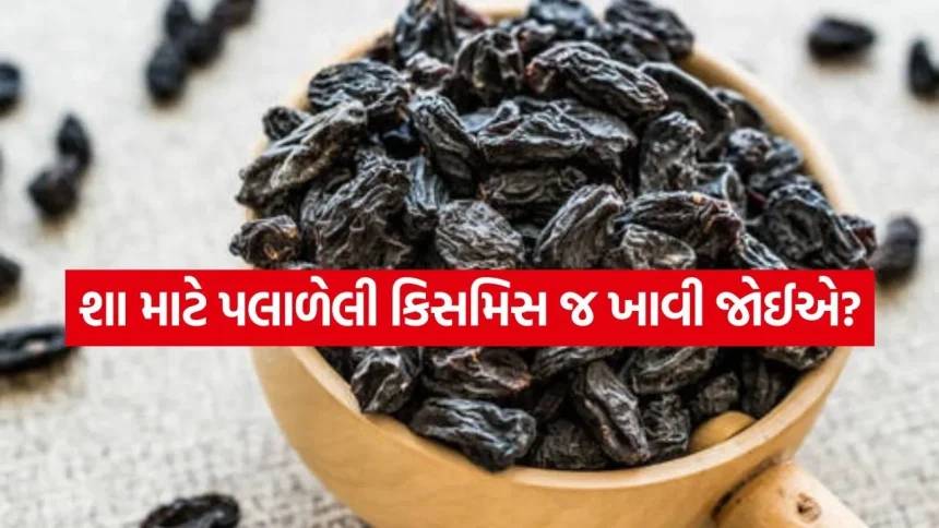 Black Raisins 2504.jpg.webp