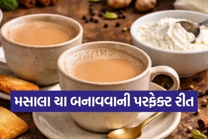 Copy of Satya web temp 13.jpg.webp