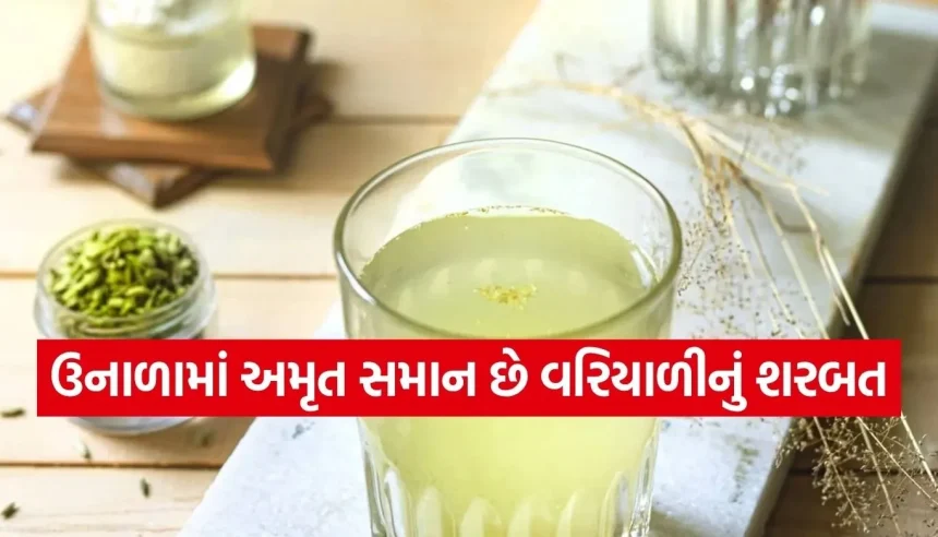 પેટની બળતરા અને અપચો થશે ગાયબ, ઉનાળામાં વરિયાળીના શરબતના આ 5 ફાયદા જાણી લો 1 Copy of Satya web temp 18.jpg.webp