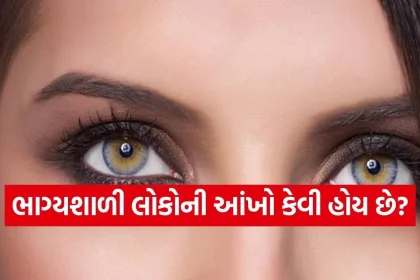 Copy of Satya web temp 19.jpg.webp