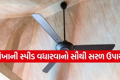Copy of Satya web temp 29.jpg.webp