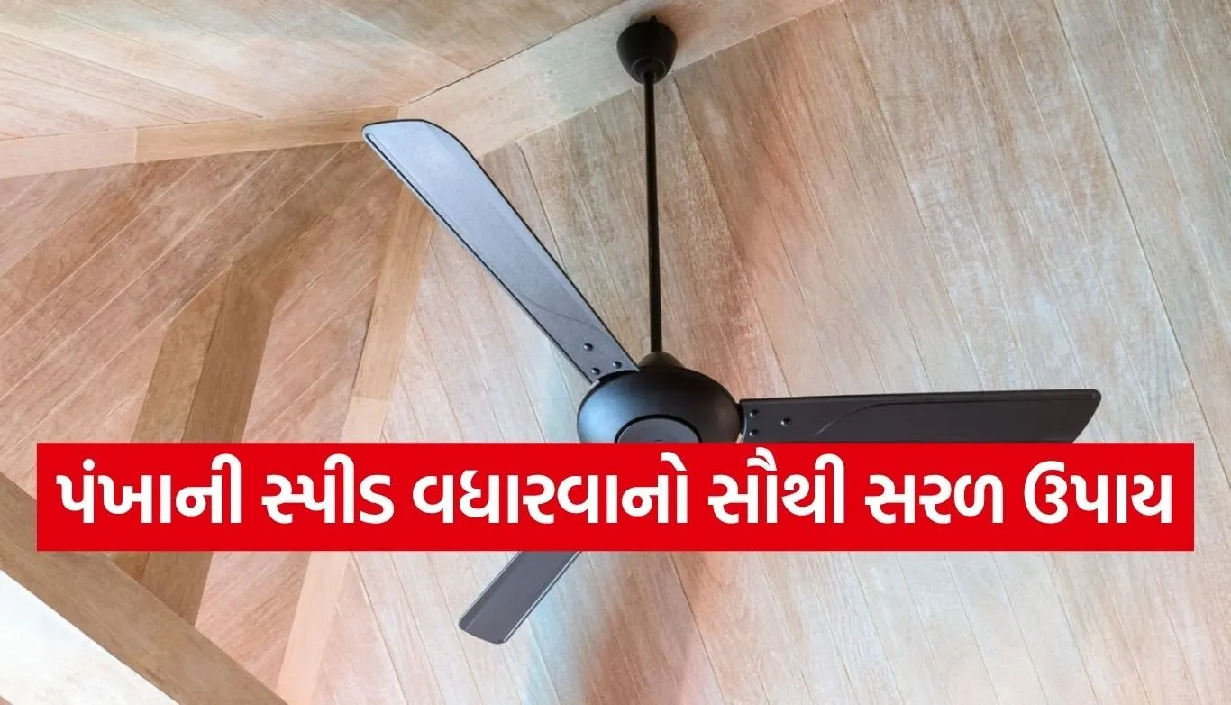 Copy of Satya web temp 29.jpg.webp