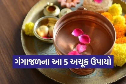 Copy of Satya web temp 34.jpg.webp