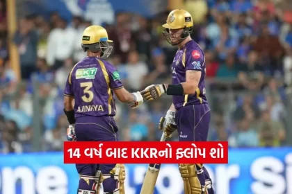 Dharmishtha 15.jpg.webp