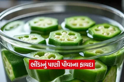 Dharmishtha 19.jpg.webp