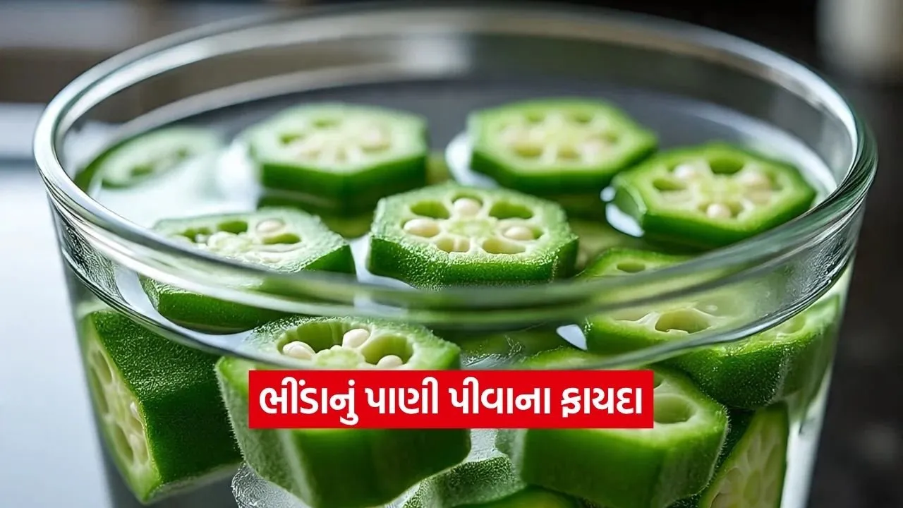 શું તમે ક્યારેય પીધું છે ભીંડાનું પાણી? તેના આ અદભૂત ફાયદા જાણીને તમે પણ ચોંકી જશો!