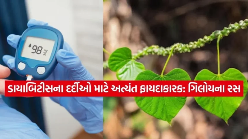 બ્લડ સુગર લેવલ રહેશે નિયંત્રણમાં, જાણો ગિલોયના રસના ફાયદા અને બનાવવાની રીત 1 Giloy 1204.jpg.webp