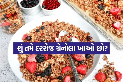 Granola 0704.jpg.webp
