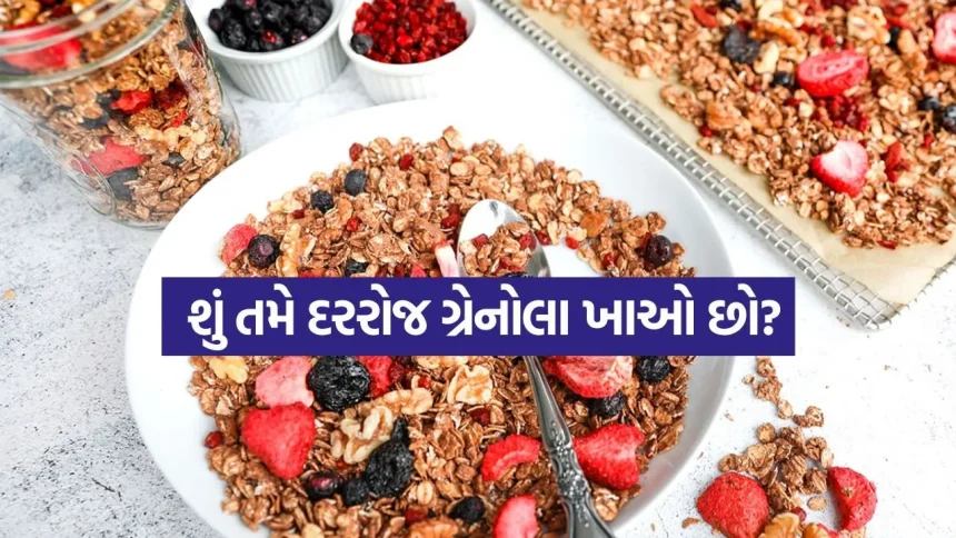 Granola 0704.jpg.webp