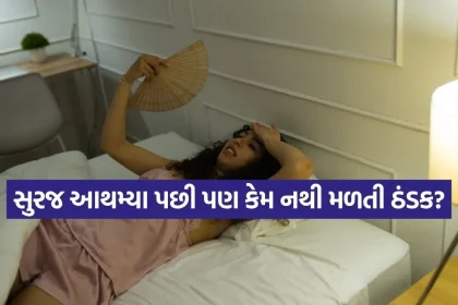 INDIA 1 2026 04 06T182835.810.jpg.webp