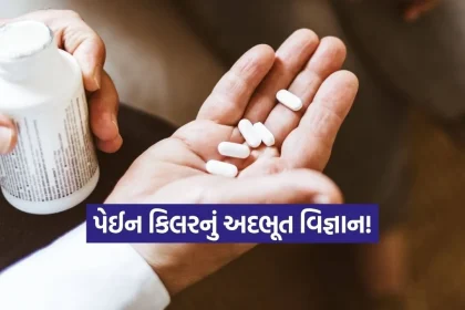 INDIA 1 2026 04 20T114014.926.jpg.webp
