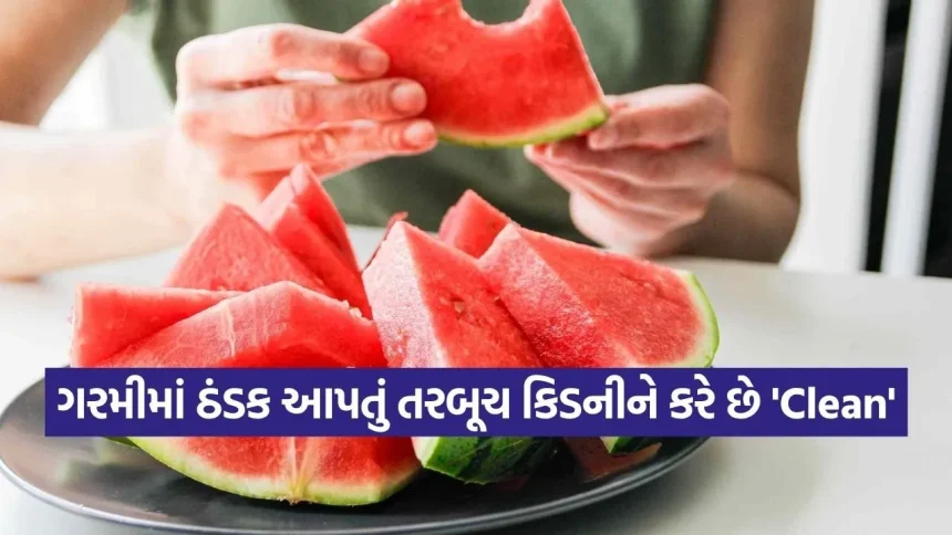 પથરીની સમસ્યાથી મળશે છુટકારો! તરબૂચ ખાવાની સાચી રીત અને કિડની માટે તેના અદ્ભુત ફાયદા 1 INDIA 1 21.jpg.webp