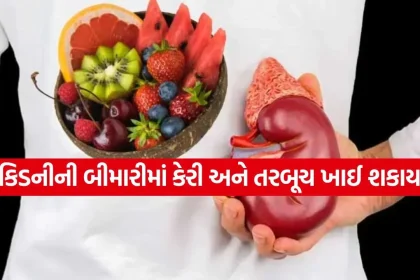 Kidney 2504.jpg.webp