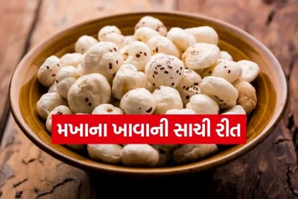 Makhana 1404.jpg.webp