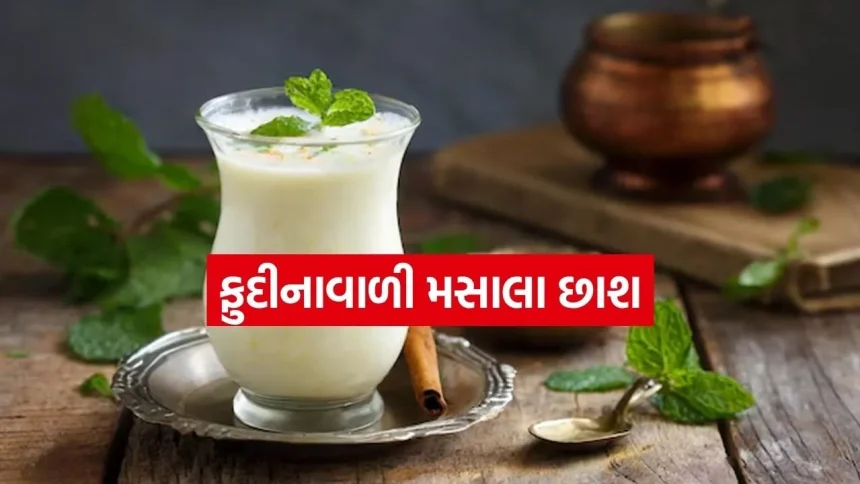 ઉનાળામાં રોજ એક ગ્લાસ જીરા-છાશ પીવાના છે અનેક ફાયદા, જાણો કેવી રીતે બનાવશો. 1 Masala Buttermilk 2004.jpg.webp