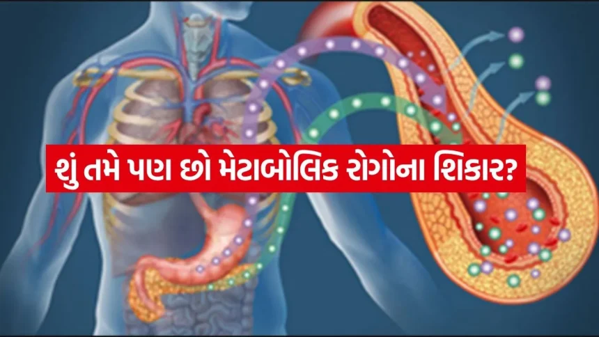 તેલ, ખાંડ અને બેઠાડુ જીવન: મેટાબોલિક રોગોનો ભાર ભારતના યુવાનોને કેવી રીતે કરી રહ્યો છે ખોખલા? 1 Metabolic diseases 2204.jpg.webp