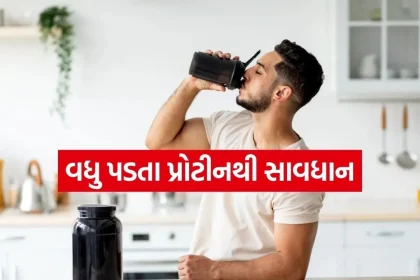 Protein 1504.jpg.webp