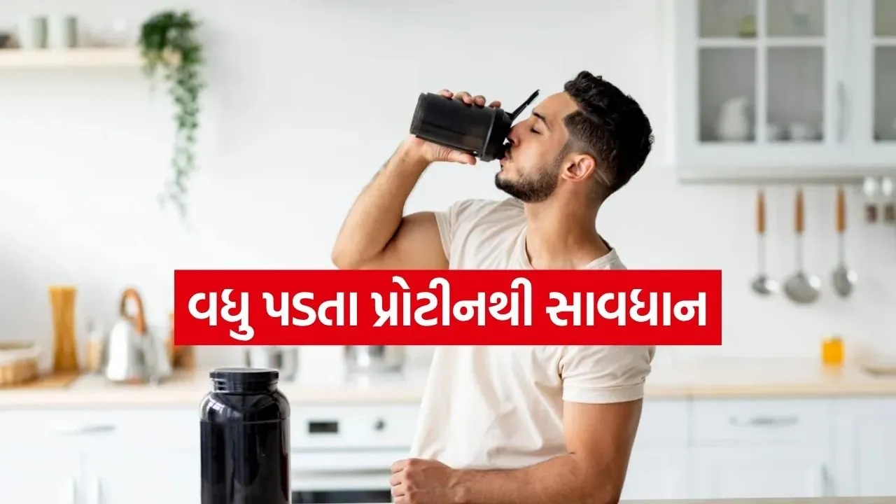 Protein 1504.jpg.webp