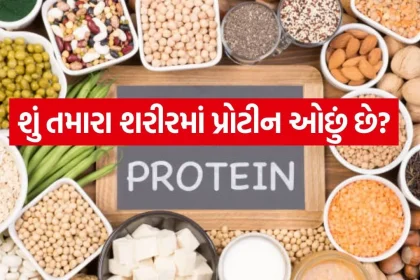 Protein 3004.jpg.webp