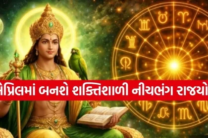 Rajyog 3003.jpg.webp
