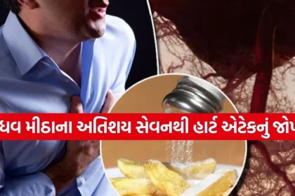 Sindhav salt 0604.jpg.webp