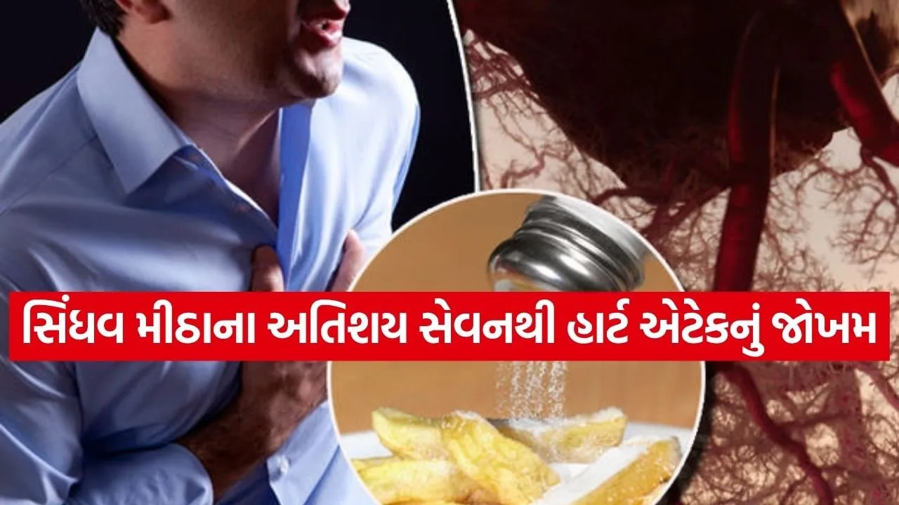 Sindhav salt 0604.jpg.webp