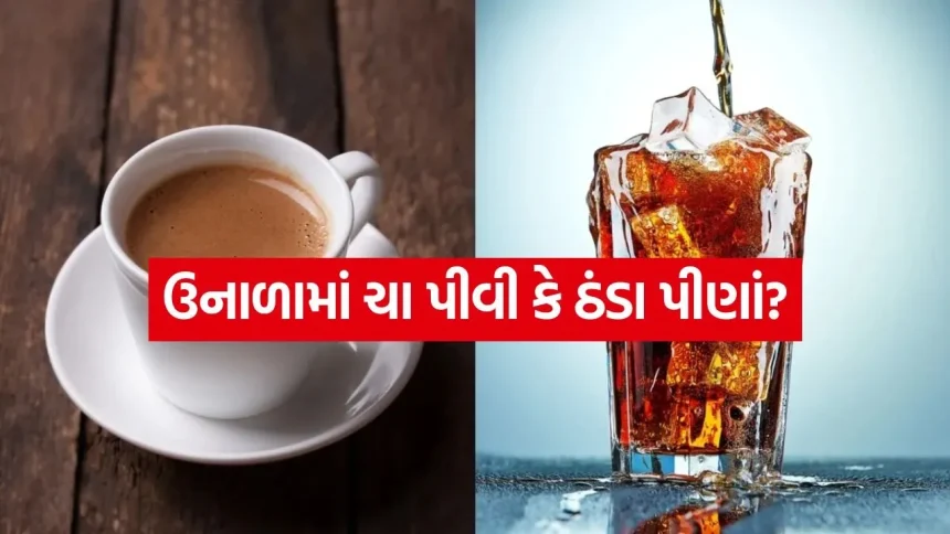 શું ગરમીમાં ચા પીવાથી ખરેખર શરીર ઠંડું પડે છે? જાણો વિજ્ઞાન 1 Tea 2204.jpg.webp