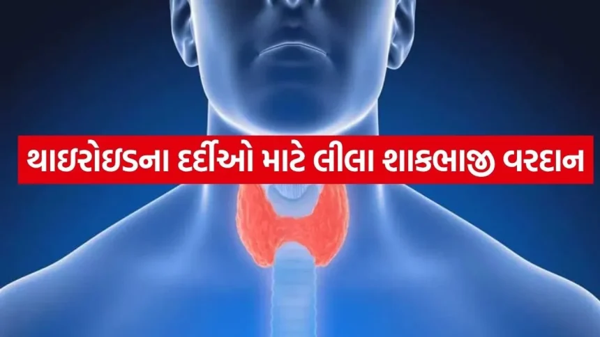 થાઇરોઇડ ડાયેટ પ્લાન: દવા વગર હોર્મોન્સને સંતુલિત કરવા માટે આહારમાં કરો આ 5 ફેરફારો. 1 Thyroid 2004.jpg.webp
