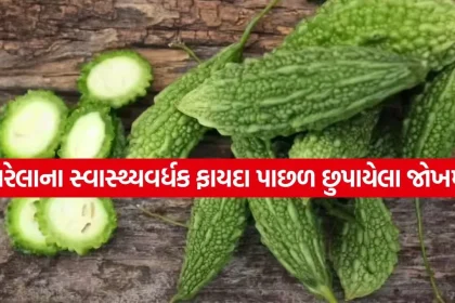 bitter gourd 2904.jpg.webp