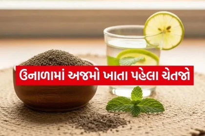 carom seeds 2004.jpg.webp