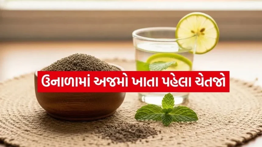 carom seeds 2004.jpg.webp