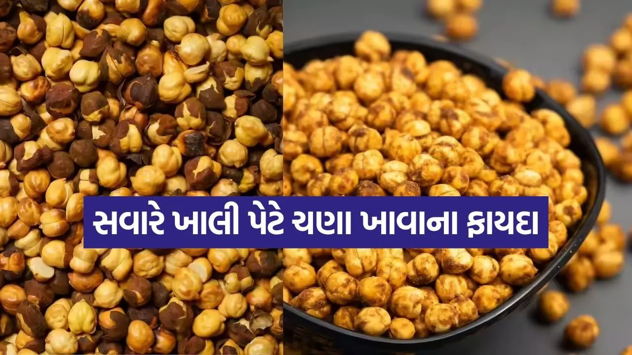 chickpea 0704.jpg.webp