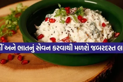 curd rice 2204 1.jpg.webp