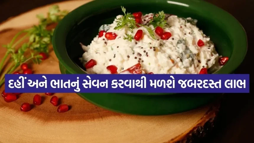 curd rice 2204 1.jpg.webp