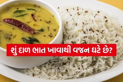 dal chawal 1504.jpg.webp