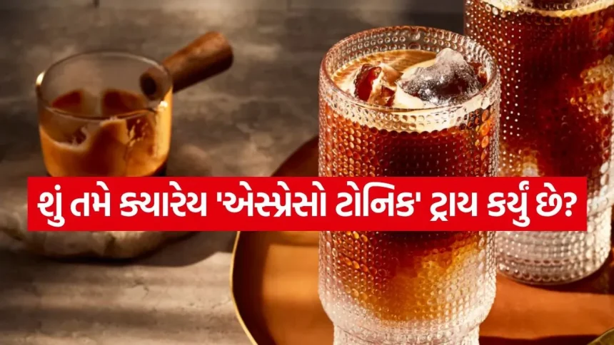 તમારા સ્વાદ મુજબ પસંદ કરો પરફેક્ટ સમર ડ્રિંક, જાણો કઈ કોફી છે સૌથી બેસ્ટ. 1 espresso tonic 2504.jpg.webp