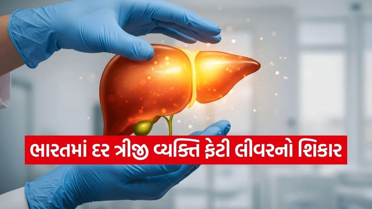 fatty liver 0303.jpg.webp
