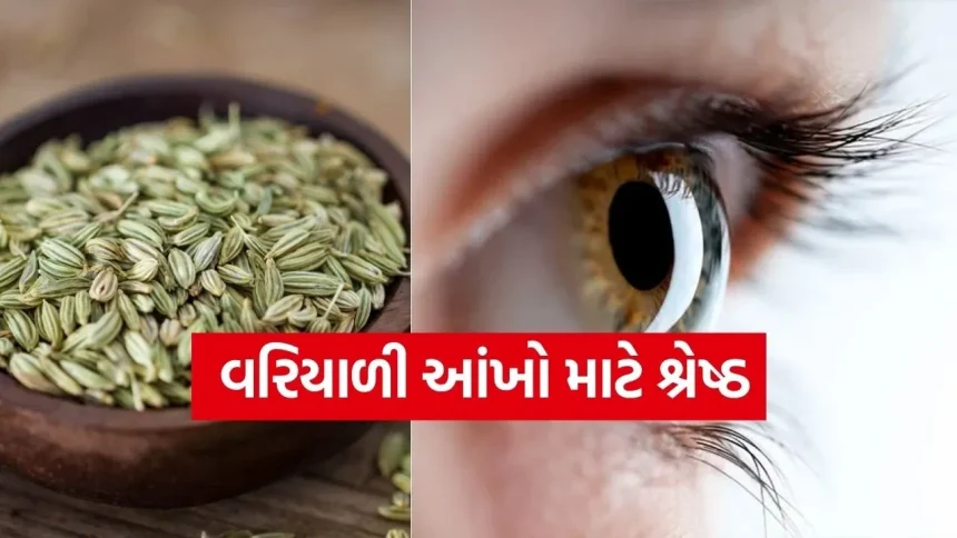 શું વરિયાળી ખરેખર આંખોની રોશની વધારી શકે? વિજ્ઞાન અને આયુર્વેદ શું કહે છે? 1 fennel 0104.jpg.webp
