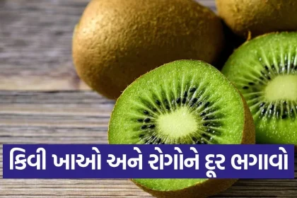 kiwi 2.jpg.webp