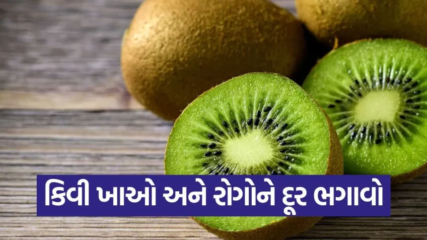 kiwi 2.jpg.webp