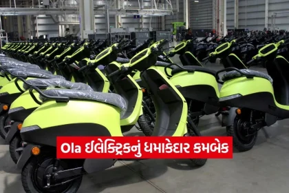 ola.jpg.webp