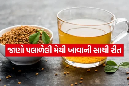 soaked fenugreek seeds 2504.jpg.webp