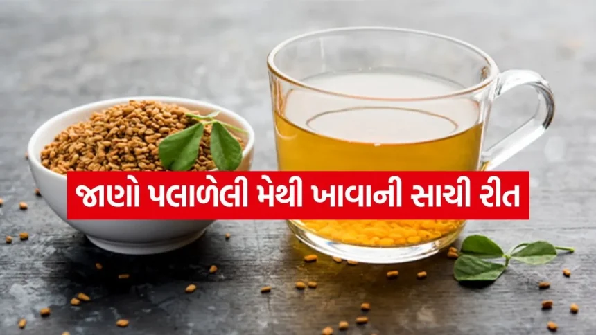 સવારે ખાલી પેટે પલાળેલી મેથી ખાવાથી પાચનતંત્ર થશે મજબૂત અને ત્વચા પર આવશે કુદરતી ગ્લો 1 soaked fenugreek seeds 2504.jpg.webp